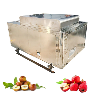 2023 Jaar Palmdattelen Kernal Extractor met functie Pitting en Pine Date Seed Extract Destoner