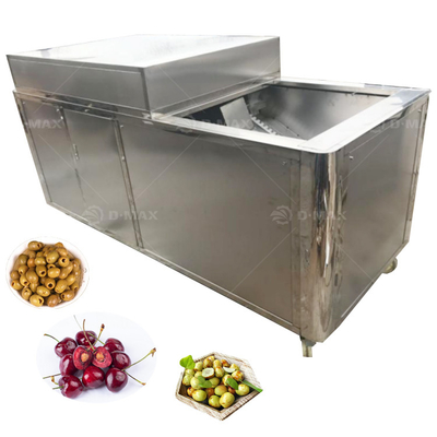 2023 Jaar Palmdattelen Kernal Extractor met functie Pitting en Pine Date Seed Extract Destoner