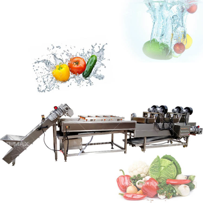 Tomatenwas- en sorteermachine voor kleine verwerkingsbedrijven Tomatenpasta productie