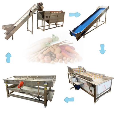 Jaar 2023 Meerdere doeleinden groente- en fruitreinigingsmachine met een capaciteit van 500 kg/uur