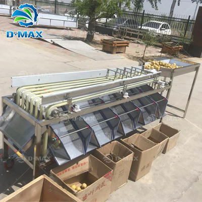 Rood gedatumsgrootte sorteren machine voor aangepaste 4-7 graden Palm gedatums classificatie