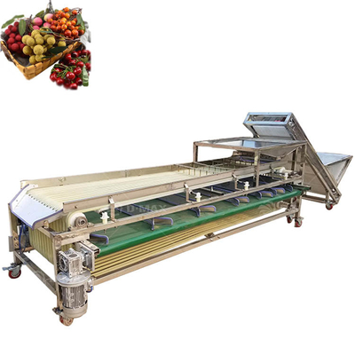 Automatische knoflook ui kersen aardappel tomaten citroen sorteerder datums rangschikker avocado sorteermachine