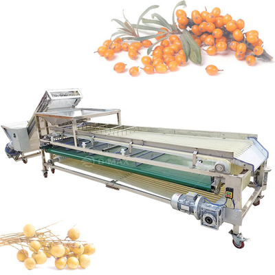 Automatische knoflook ui kersen aardappel tomaten citroen sorteerder datums rangschikker avocado sorteermachine