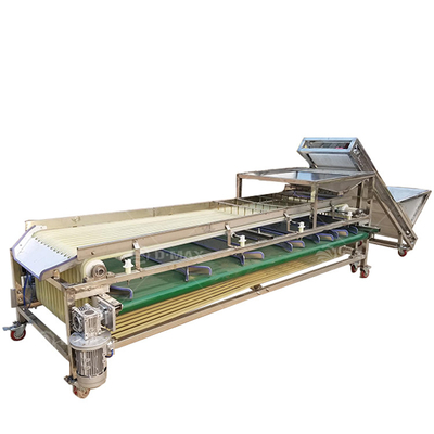 Goed functionerende Passion Fruit Grading Machine voor de vereisten van de fruitverwerking
