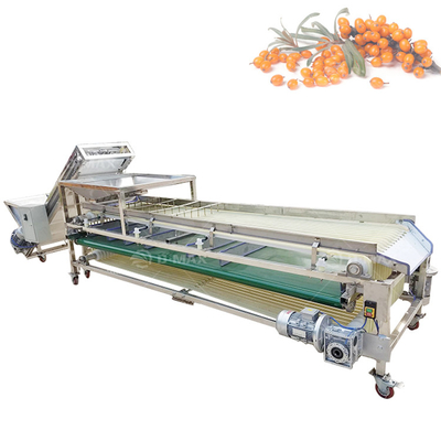 Goed functionerende Passion Fruit Grading Machine voor de vereisten van de fruitverwerking