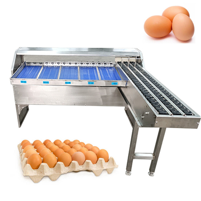 Best Automatic Egg Classifier voor nauwkeurig sorteren van eieren