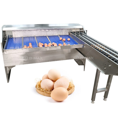 Best Automatic Egg Classifier voor nauwkeurig sorteren van eieren