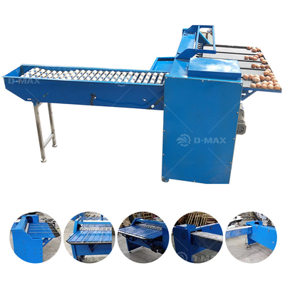 Precieze eiersorteermachine met een capaciteit van 5400 eieren per uur en een gemakkelijke bediening