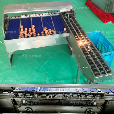 Elektronische voedingsbron Multifunktioneel ei sorteren klasserende machine voor kip eieren