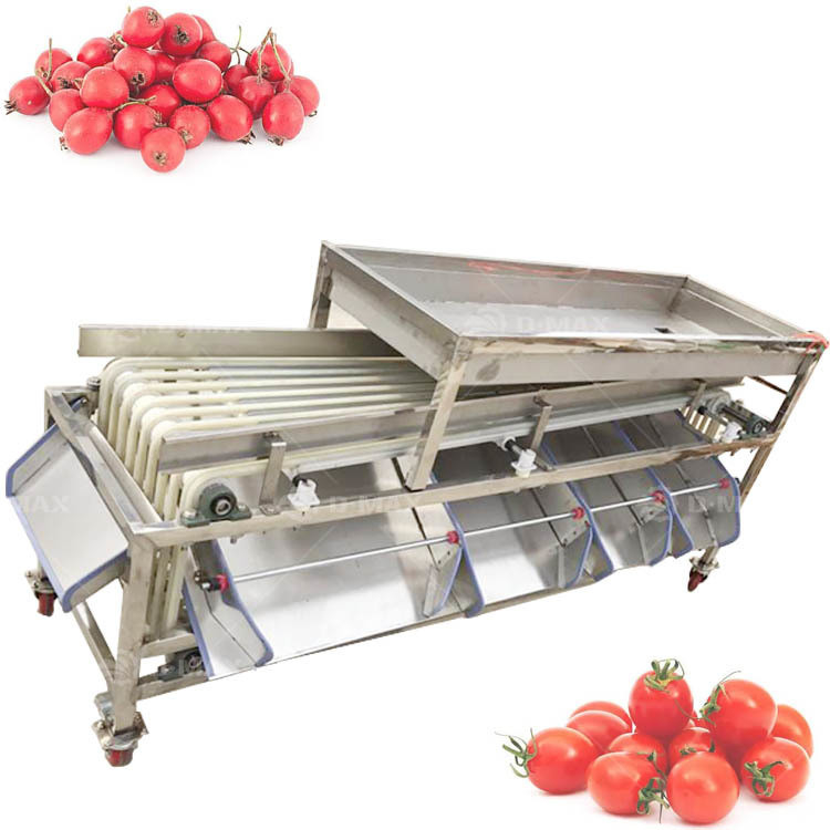 Rood gedatumsgrootte sorteren machine voor aangepaste 4-7 graden Palm gedatums classificatie